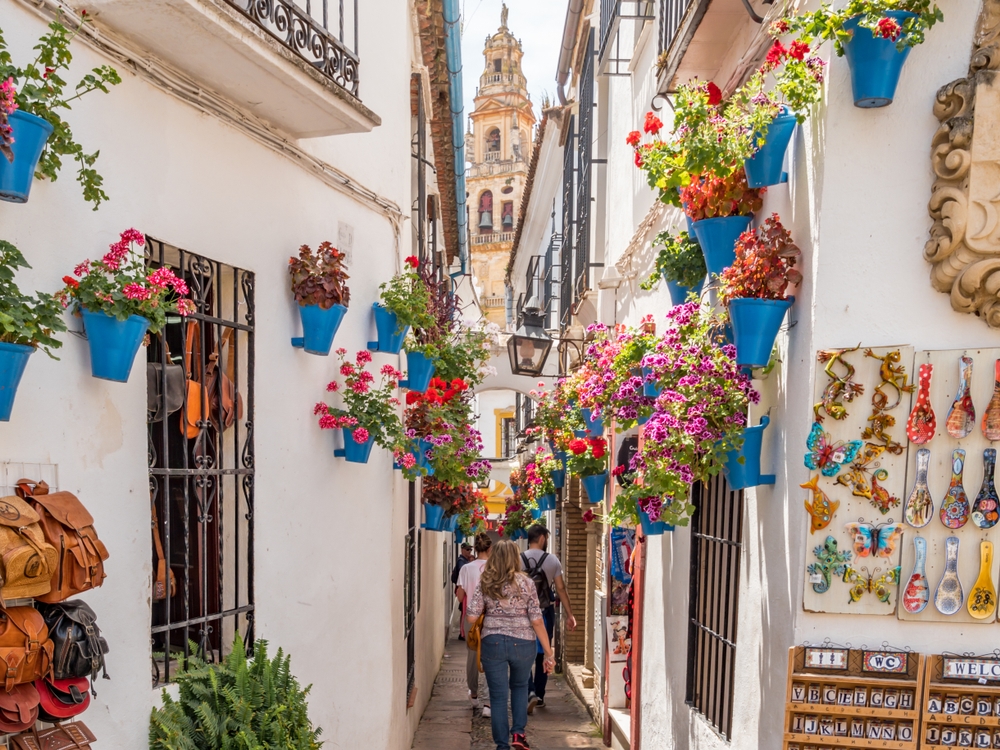 Calleja de las Flores