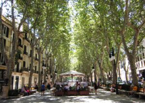 Passeig del Born Palma de Mallorca