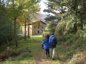 Wandelen