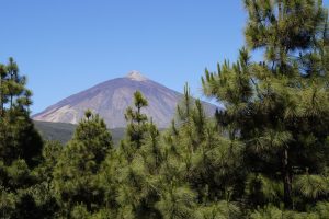 Tenerife noodtoestand droogte