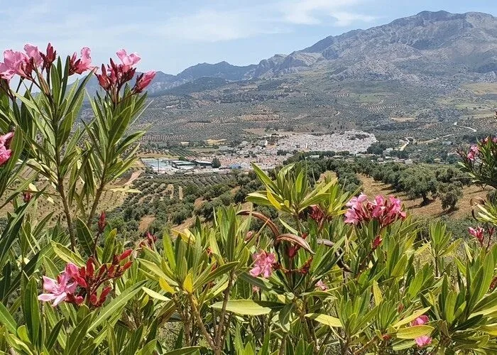 Megazonneparken Sierra de las Nieves