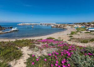 Het strand op het eiland Tabarca, bereikbaar met de boot van de Costa Blanca