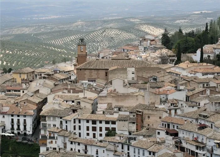 Cazorla
