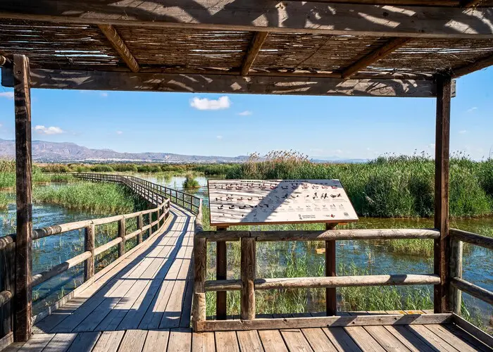 Andalusië voor vogelaars en birdwatching