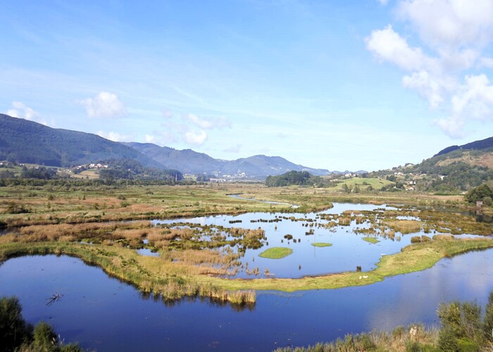 Urdabai bird center vogels