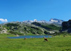 Picos de Europa