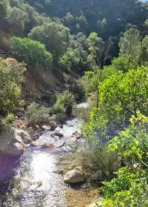 rio borosa