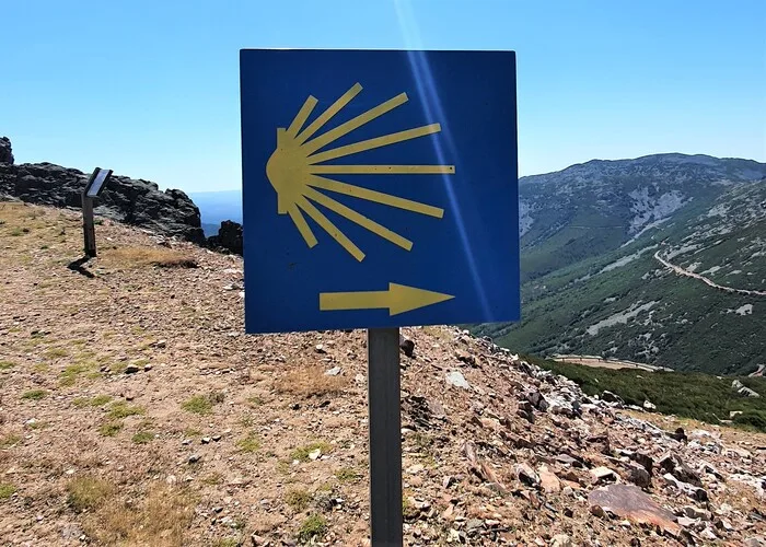 Camino