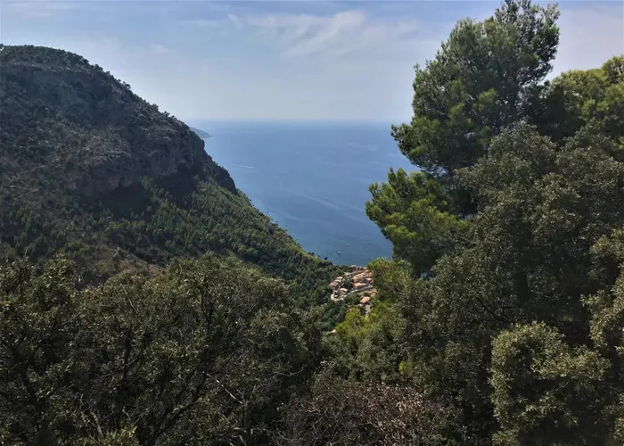 Valldemossa