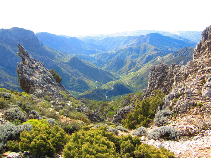 Tussen Frigiliana en Competa