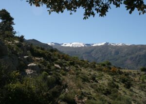 Sierra Nevada
