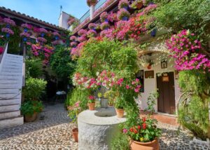 Patiofestival in cordoba