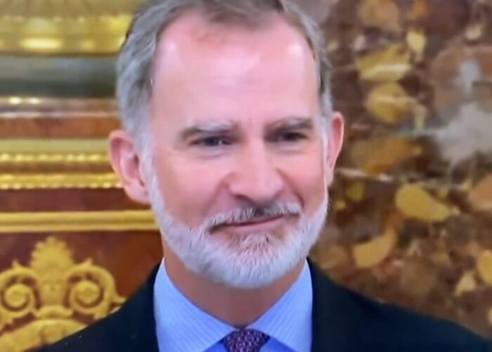 Felipe VI ontroerd door verrassingsspeech