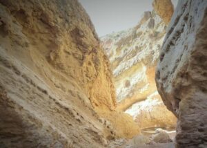 landschap rambla salada