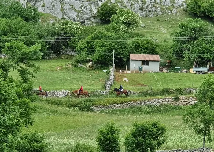 klagende toeristen over plattelandsgeluiden Asturië
