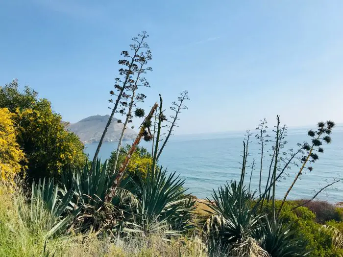 Natuurpark Cabo de Gata