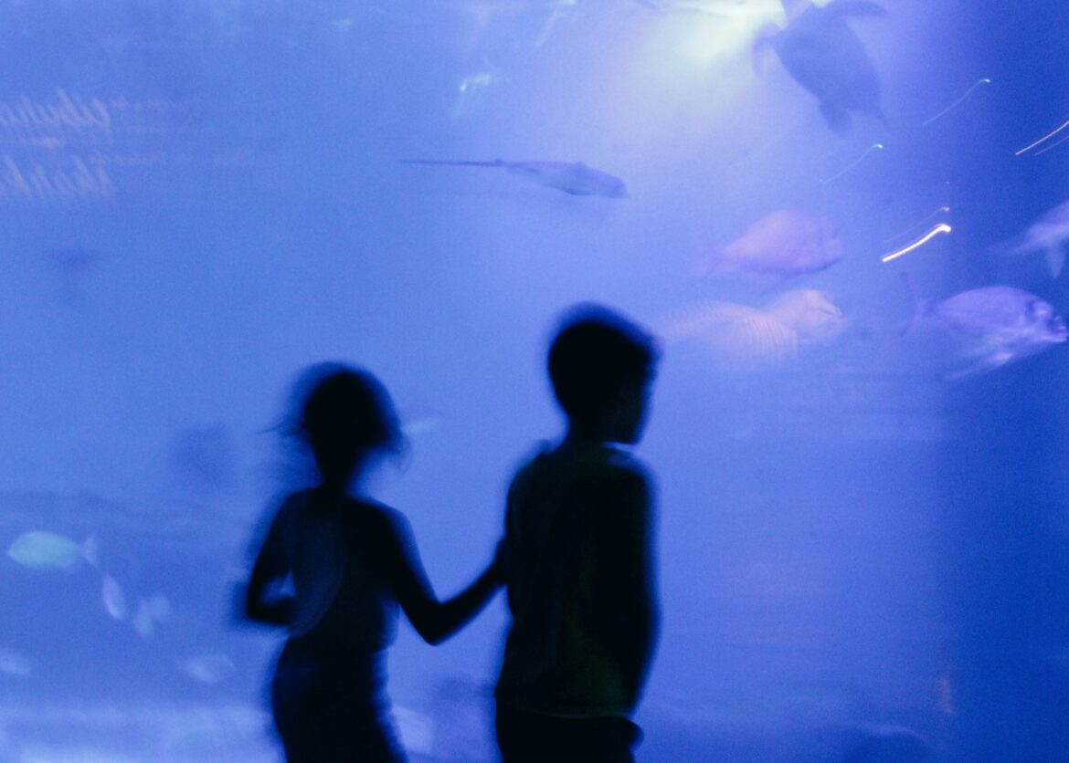 Misbruik van kinderen in Spanje, netwerk opgerold