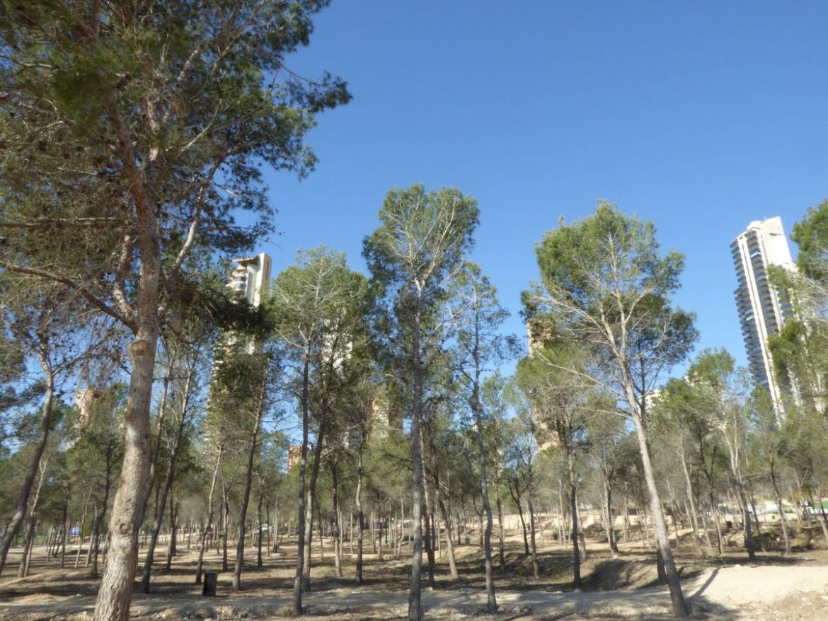 Nieuw Outdoor-en recreatiegebied in stadspark Parque Sequia de Mare Benidorm