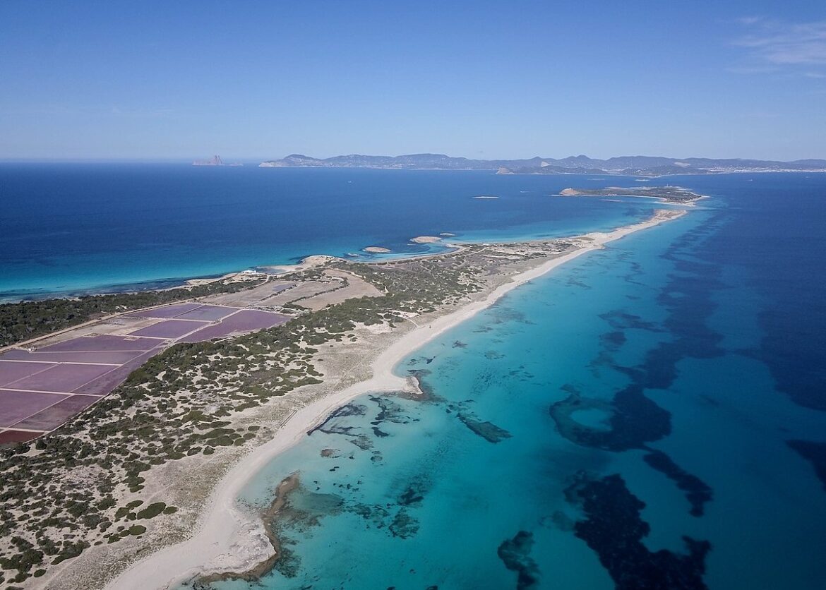 Grootschalige herbebossing moet Formentera koeler maken