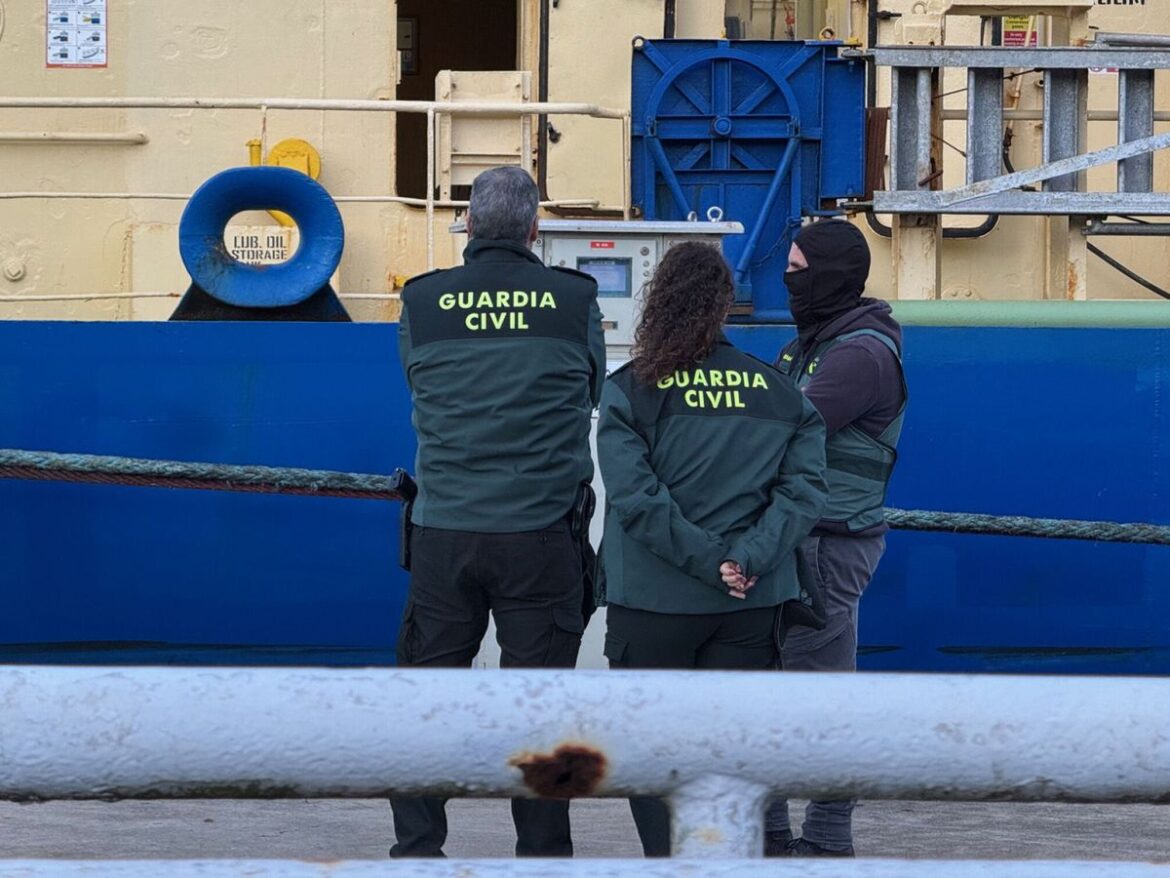 Dolfijnen slachtoffer van bijvangst