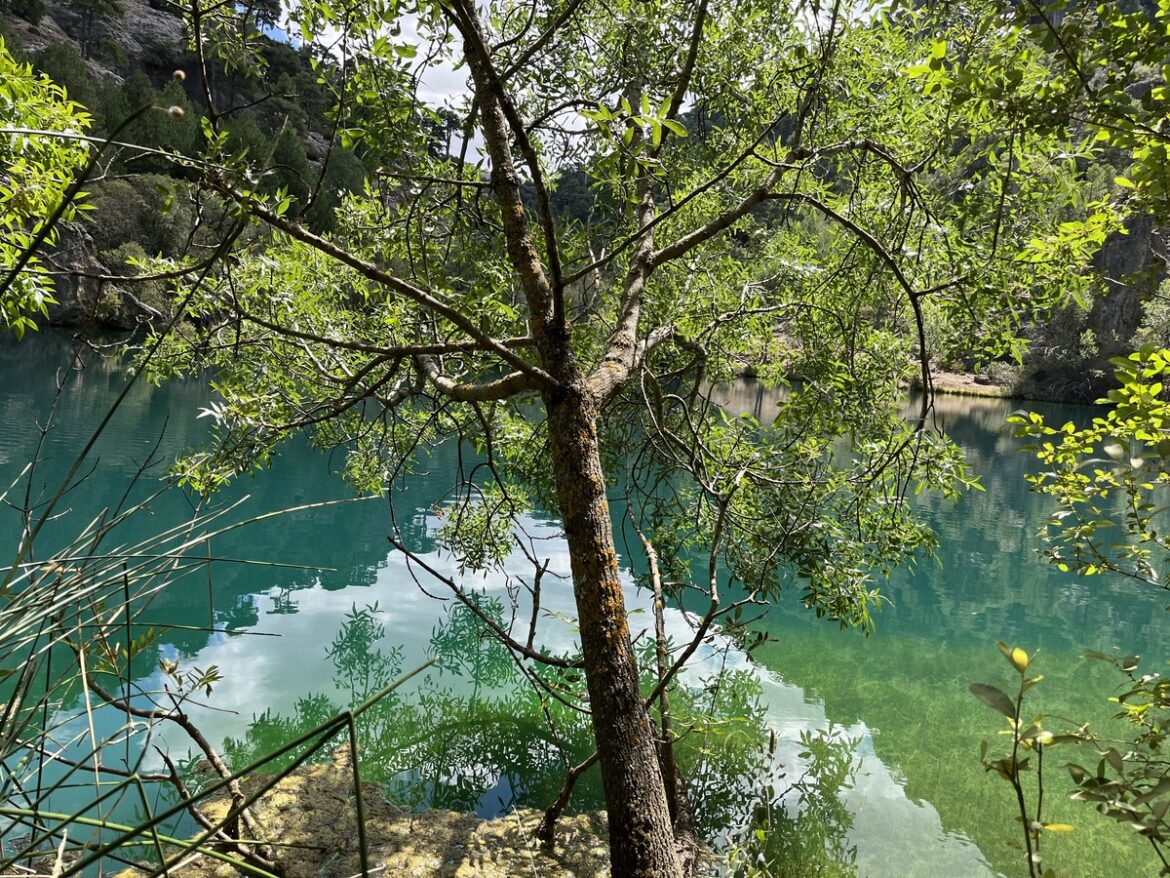 Verkoelende waterwandelingen Andalusië, Cazorla