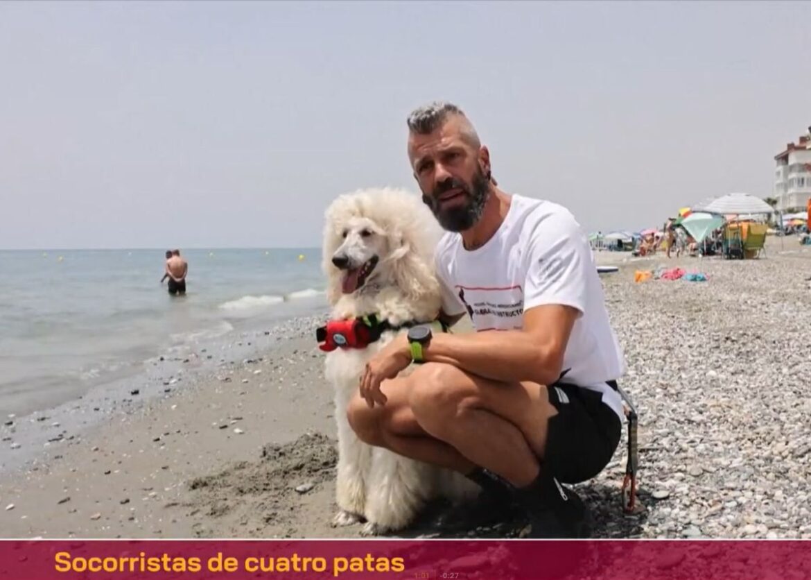 Reddingshond Nilo op het strand van Málaga met reddingsvest