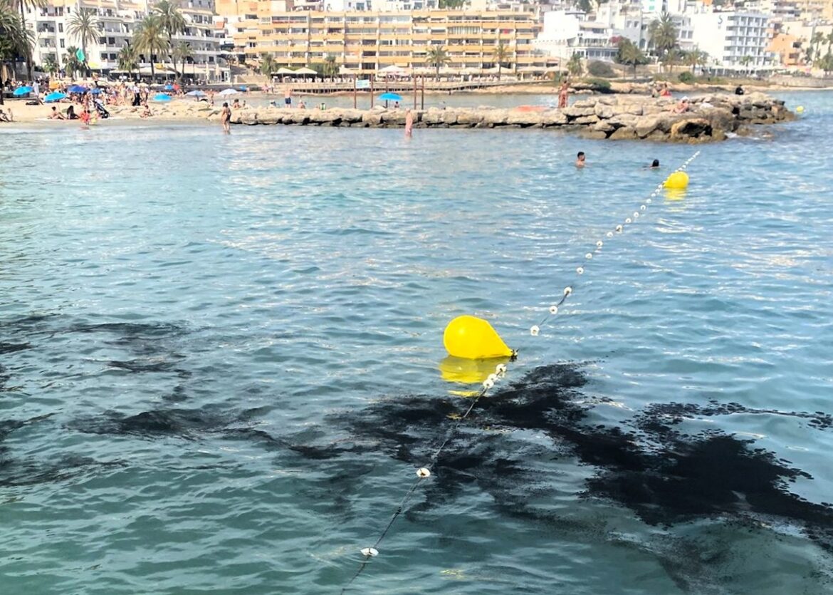 tijdelijk zwemverbod Ibiza door mysterieuze zwarte vlek in zee