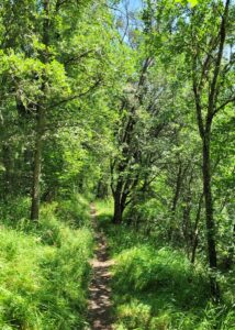 groener dan groen langs de Ebro