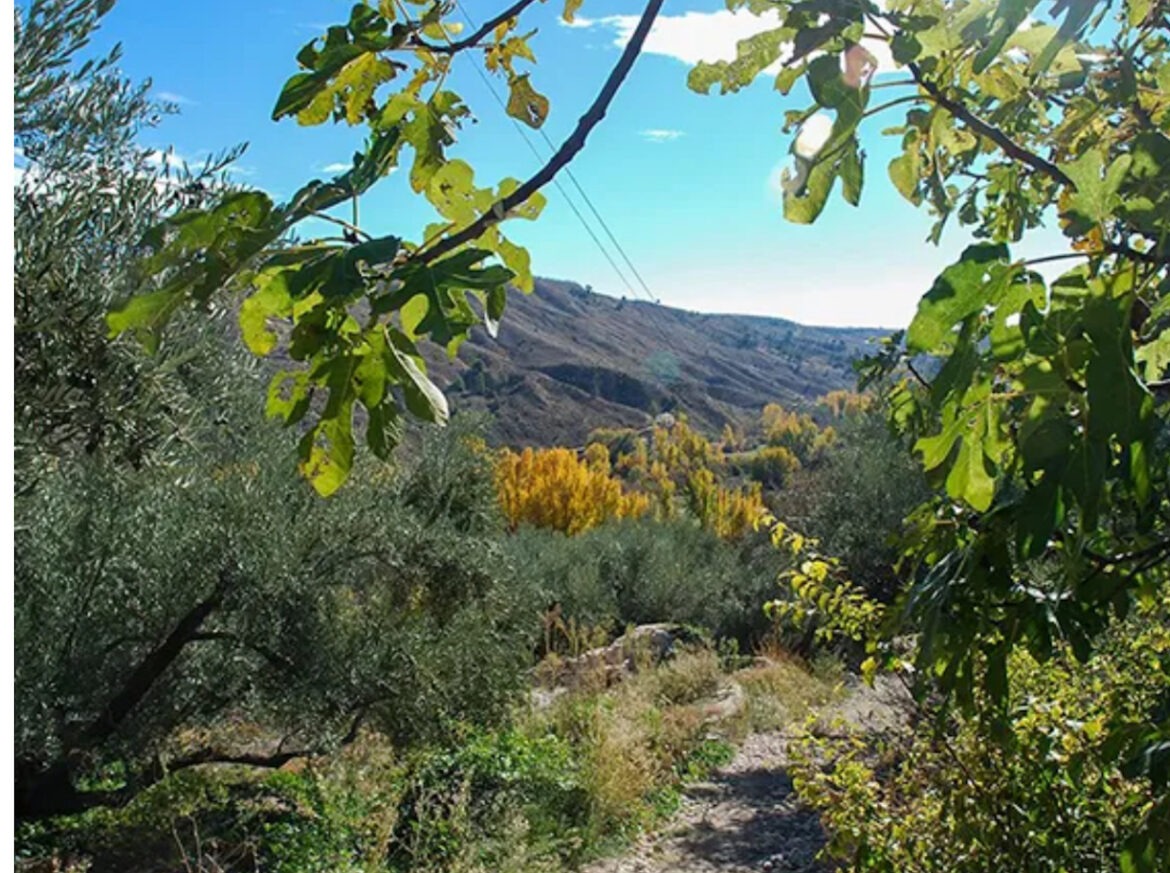 Nationaal Park Sierra de Castril