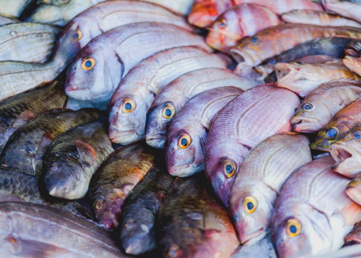 Verse vis in de supermarkt in Spanje