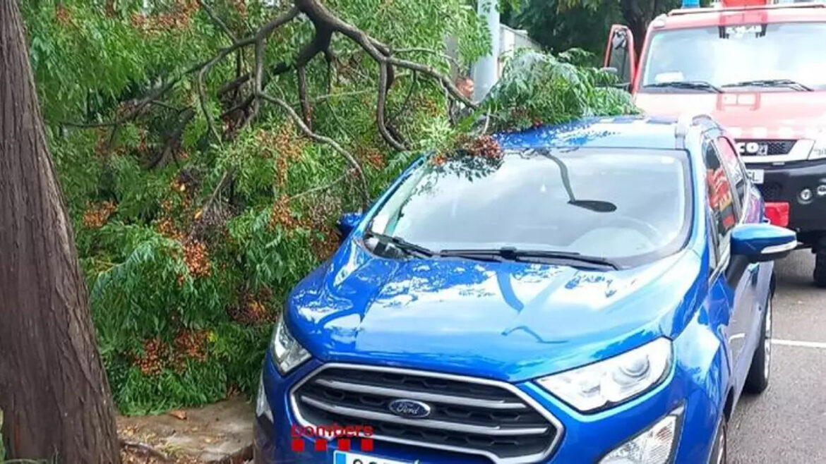 wolkbreuk Barcelona, L'Hospitalet de Llobregat, boomtak verplettert auto