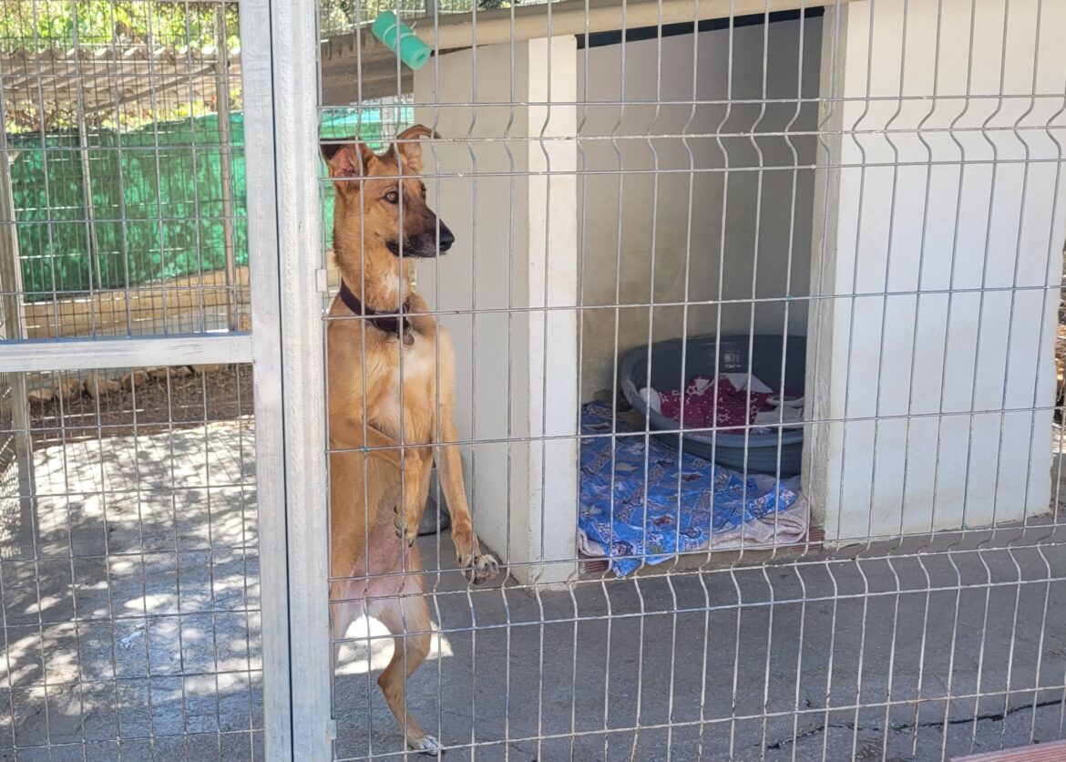 Fidelio moet sluiten. Er komt een Chinees vriendschapspark op hun plek..