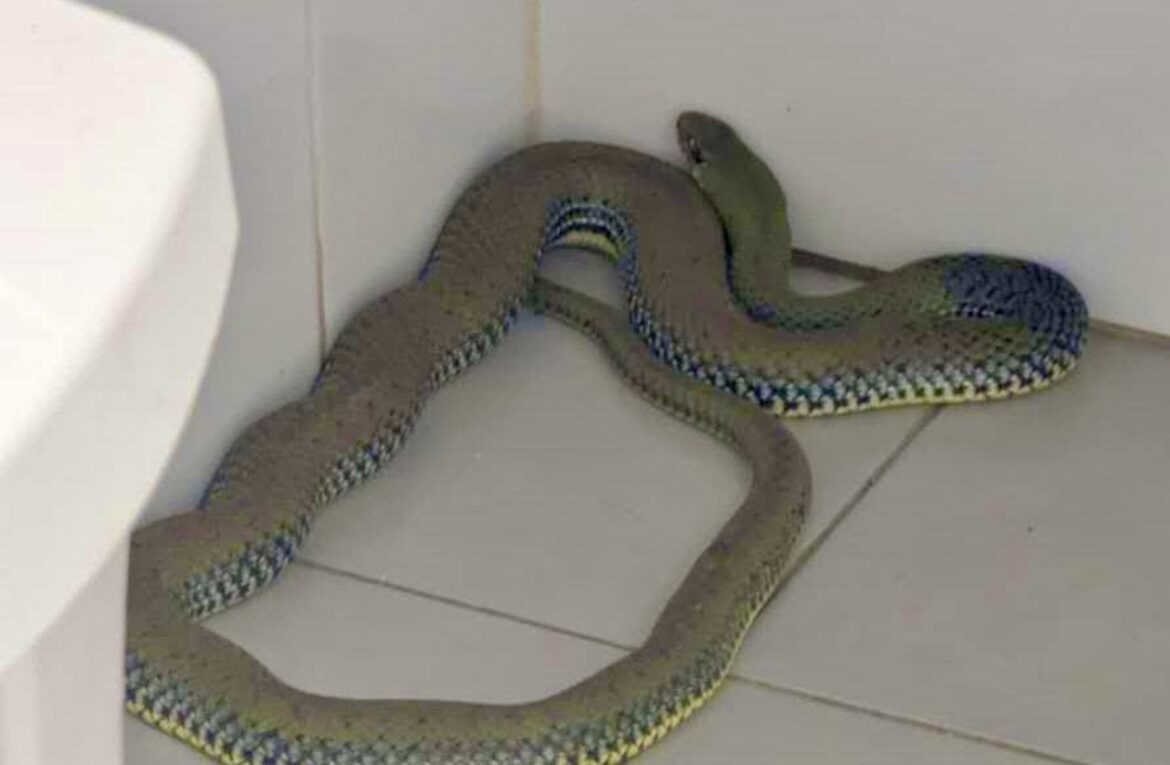 Slang in sportschool