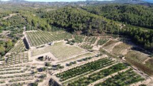 finca met huis te koop in Catalonië met wijngaard