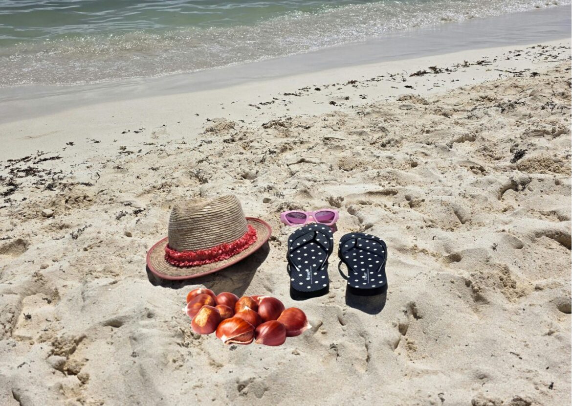 Gepofte kastanjes eten op het strand: het wordt warm deze week in Málaga