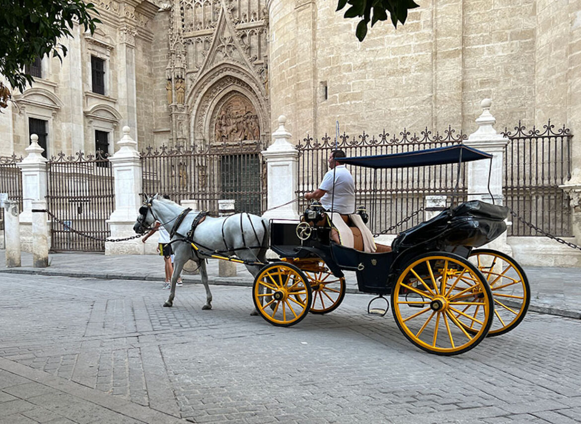 paardenkoetsen in Málaga en Sevilla