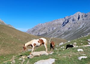 Fuente Dé, Asturië