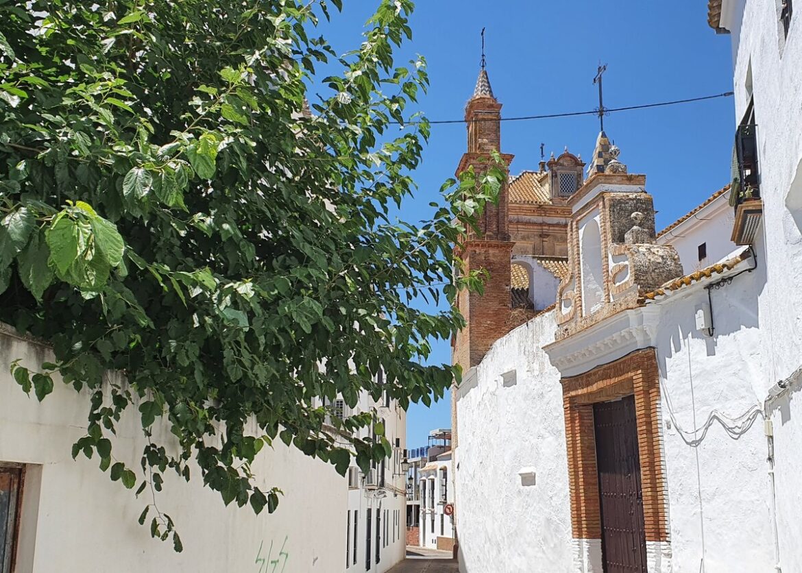 Oudste fles wijn ter wereld gevonden in Carmona: 2000 jaar oud