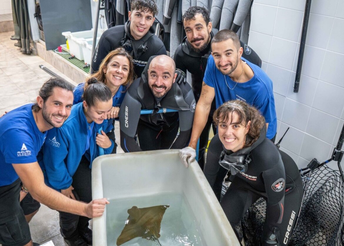 zeldzame rog Valencia geboren