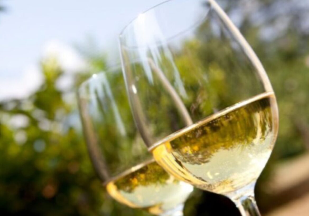 Beste wijn uit Spanje ook beste wijn ter wereld?