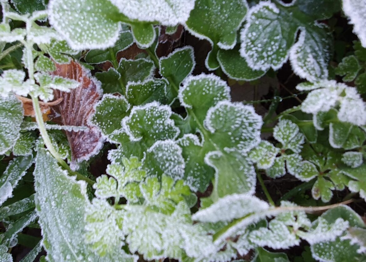 Guur slot van november voor Spanje