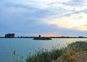 Wetenschappers trekken aan de bel over plan voor Doñana van regering dat ernstige bedreiging kan vormen