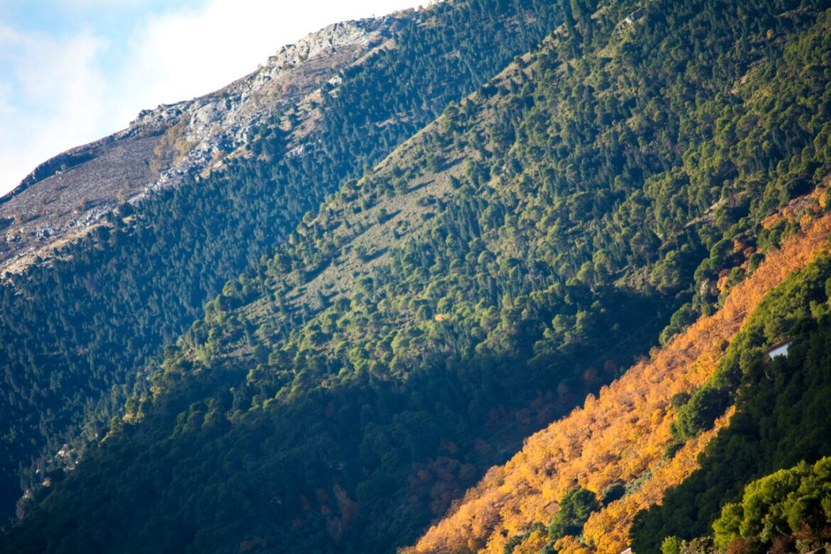 Sierra de las Nieves Torrecilla