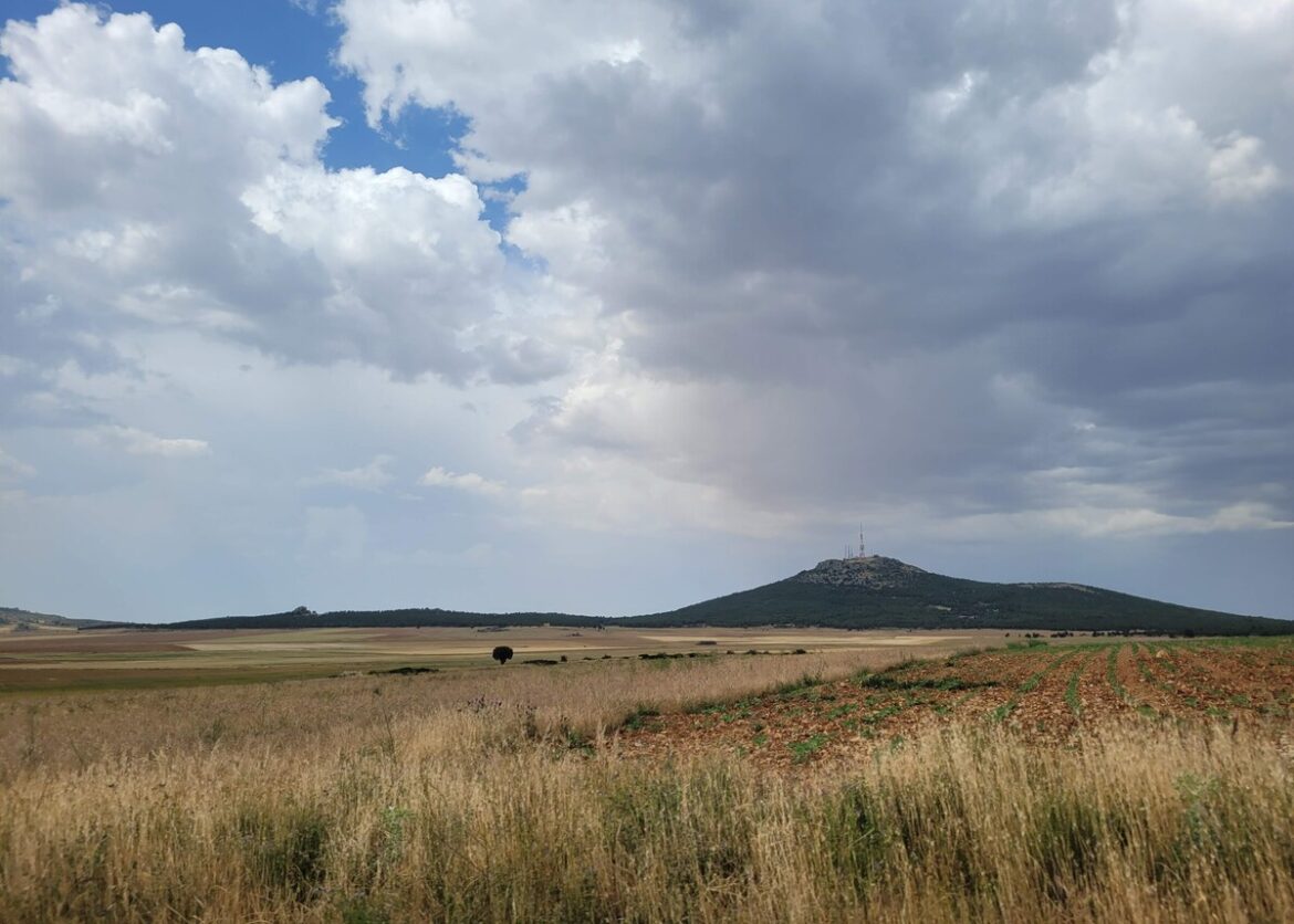 landbouwgrond in Spanje steeds populairder onder beleggers en investeerders