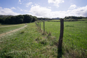 pad naar Playa de Gulpiyuri