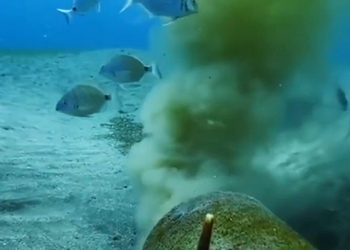 rioolwaterlozingen op Tenerife