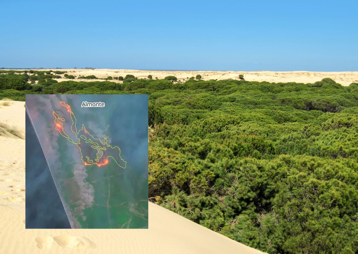 brand in Doñana verwoest kwetsbaar deel