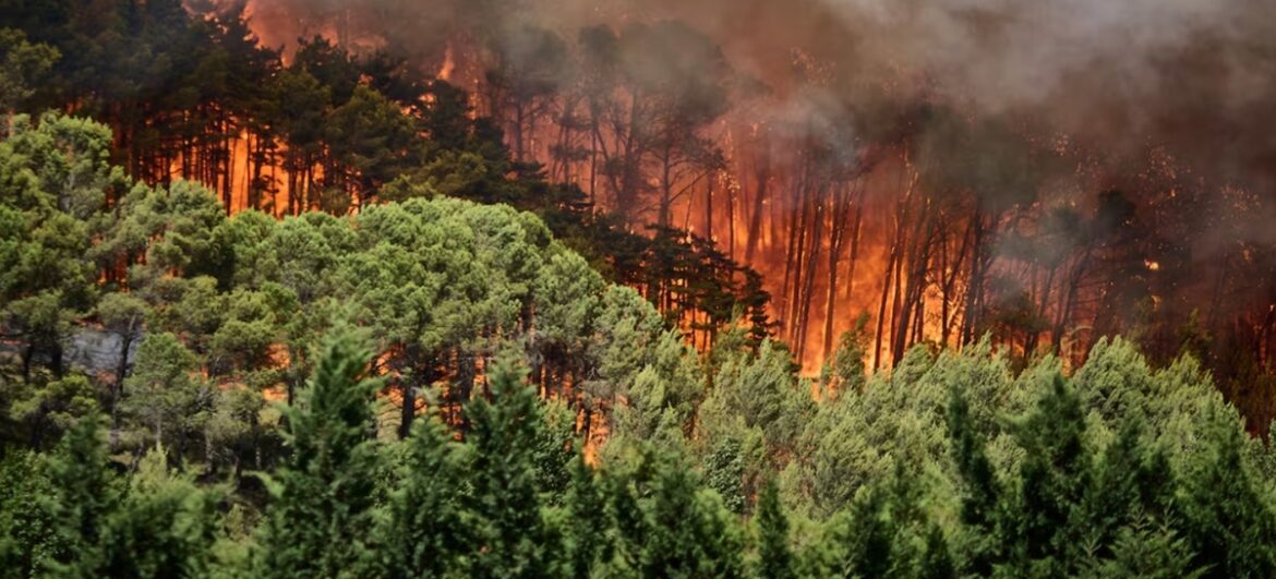 extreem brandgevaar in Spanje