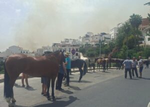 Mensen met paarden kijken in Cómpeta toe hoe bosbrand in Axarquía zich ontwikkelt