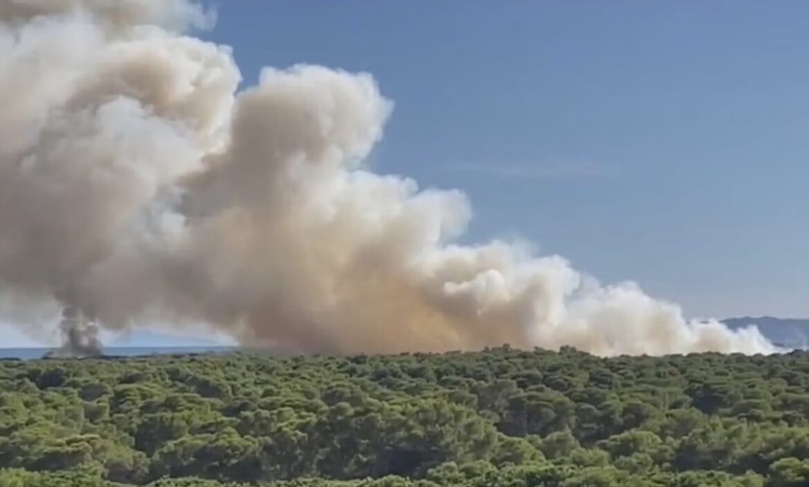 Brand ten zuiden van Valencia, la Devesa del Soler